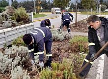 Körfez’de Kış Öncesi Yeşil Alan Seferberliği