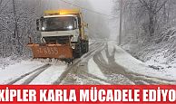 Büyükşehir ekipleri karla mücadele ediyor