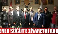 SÖĞÜT’e Ziyaretçi Akını