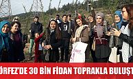 Körfez’de 30 bin fidan toprakla buluşturuldu