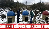 SAHİPSİZ SOKAK KÖPEKLERİNE SICAK YUVA