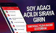 Soy ağacı öğrenme açıldı artık alt üst soy bilgisi cebe geliyor