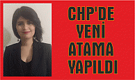 CHP’ye taze kan, CHP’DE YENİ ATAMA YAPILDI                 