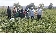 Büyükşehir’den çiftçilere her alanda destek