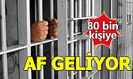 80 bin kişiye af geliyor