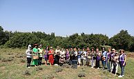 İzmit Belediyesi Lavanta Bahçesi’nde hasat başladı