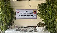 Uyuşturucu Suçları ile Mücadele kapsamında