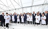 Kocaeli’de öğrenciler, topraksız tarım Ar-Ge serasında çilek yetiştiriyor