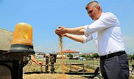 GÖLCÜK BELEDİYESİ, SOSYAL HİZMET TARLASINDA BU KEZ YEM BİTKİSİ YETİŞECEK