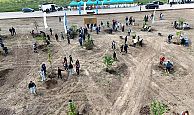 Kocaeli'nde Yeşilin Yükselişi Devam Ediyor