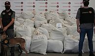 Kapıkule’den Gebze’ye Uzanıyor: 692 Kilo Esrar Tırda Yakalandı