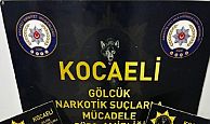 Kocaeli’de Narkotik Operasyonları: 189 Şüpheli Yakalandı
