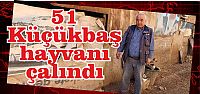 51 küçükbaş hayvanı çalındı