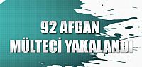  92 Afgan mülteci Gölcük'te yakalandı