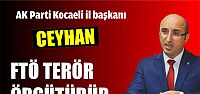 Ceyhan; FTÖ Terör örgütüdür