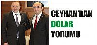 Ceyhan'dan dolar yorumu