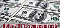  Dolar 2,91 TL seviyesini aştı