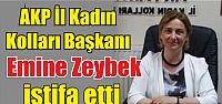  Emine Zeybek istifa etti