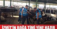  İZMİT’N BOĞA TİMİ  BAYRAMA HAZIR