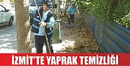  İZMİT’TE YAPRAK TEMİZLİĞİ