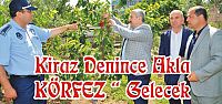 Kiraz Denince Akla “ KÖRFEZ “ Gelecek