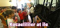 Kocaelililer at ile bu merkezde tanışacak   