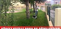  Körfez, Yeşil Alanları Ve Parklarıyla Her Geçen Gün Daha Da Güzelleşiyor