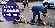  Körfez’de mazgallar temizlendi