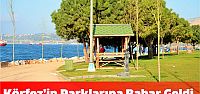 Körfez’in Parklarına Bahar Geldi