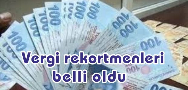  Türkiye'nin vergi rekortmenleri belli oldu