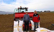 Kocaeli’de Tarıma Güçlü Destek: 1.450 Ton Tohum Toprakla Buluştu