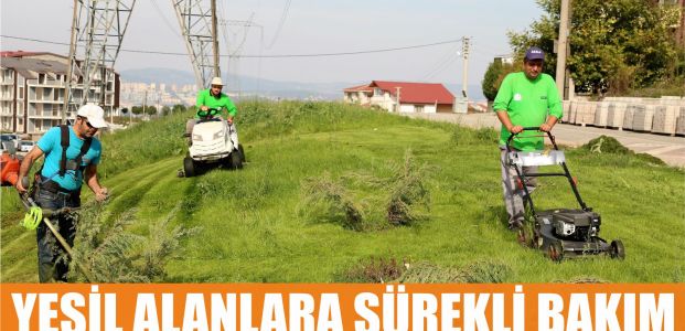 Yeşil alanlara sürekli bakım