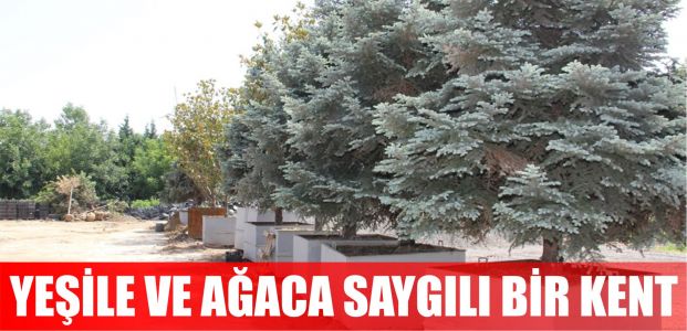 Yeşile ve ağaca saygılı kent Kocaeli